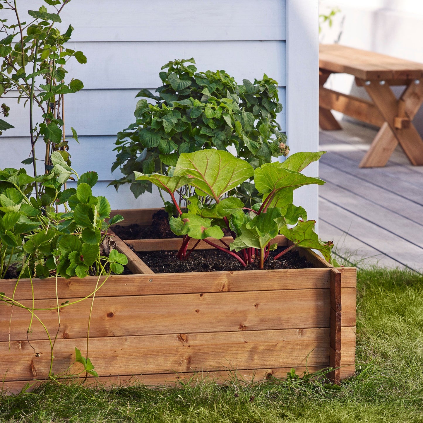 Vegetable bed with 4 sections